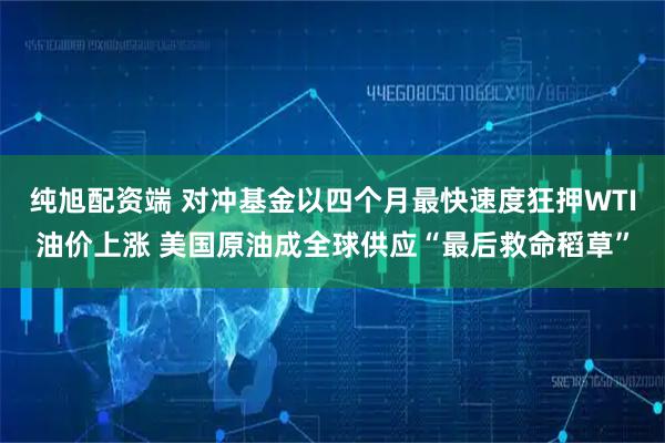 纯旭配资端 对冲基金以四个月最快速度狂押WTI油价上涨 美国原油成全球供应“最后救命稻草”